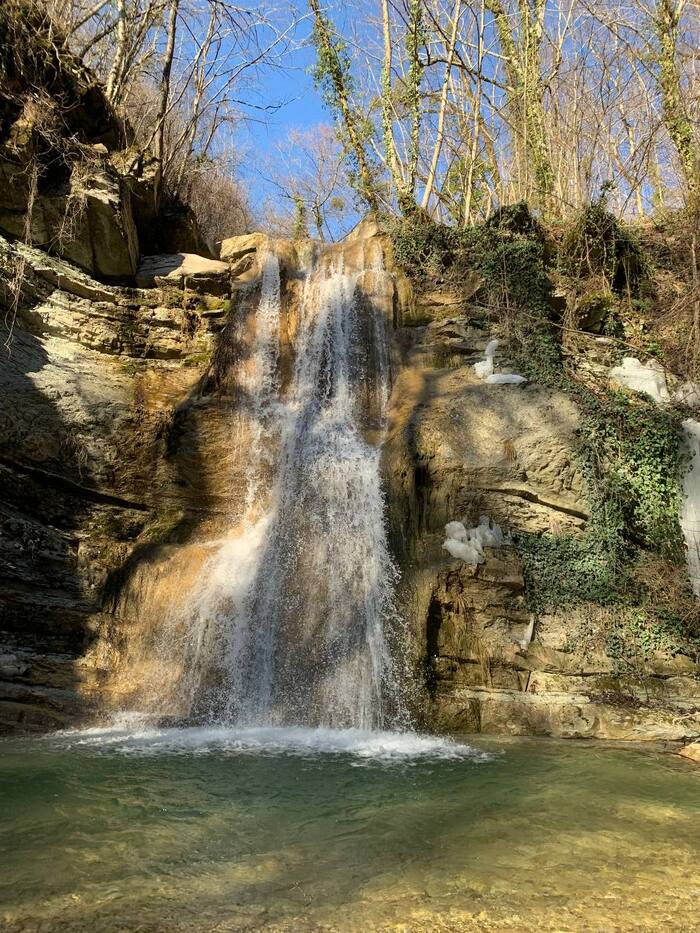 �������� ������� ��������, �������� �������� ���� � ���� � ��