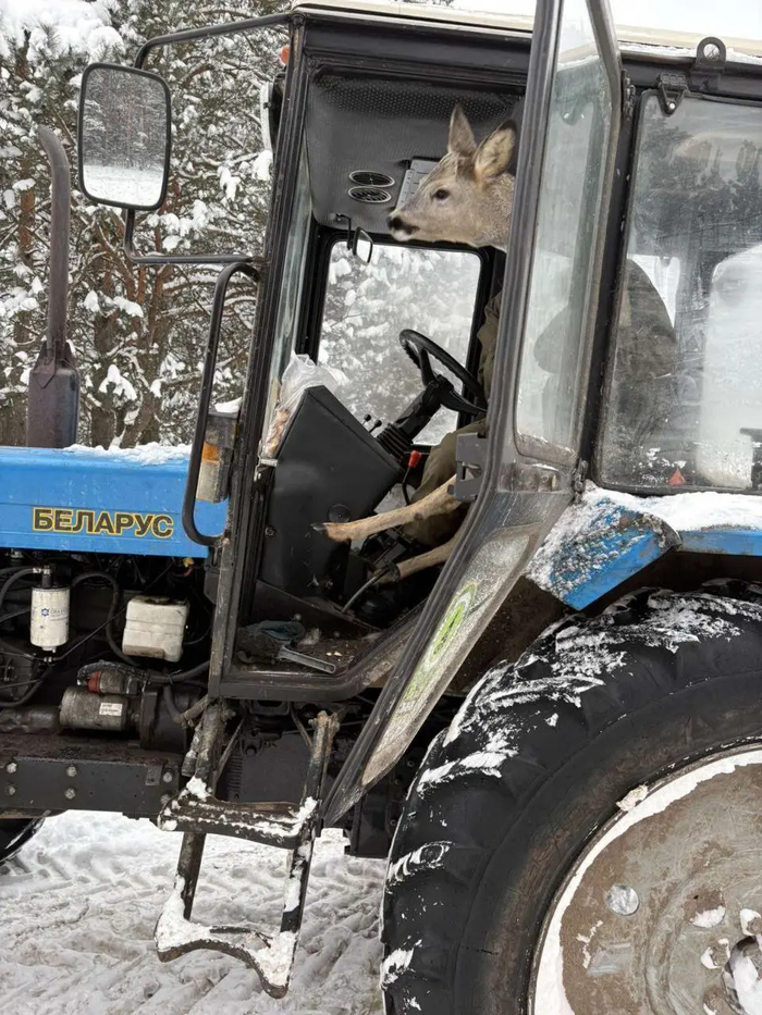 � ��������