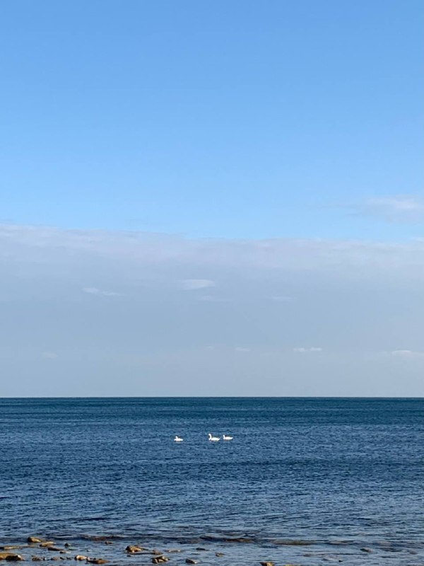 ��������! ���������� ������ � ����!