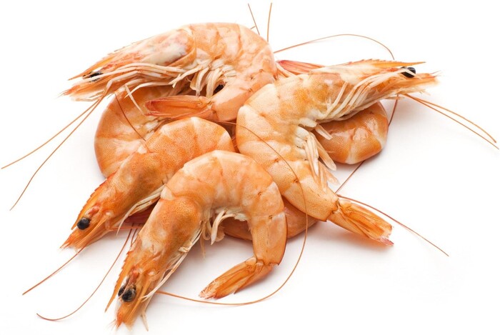 ЭТО ДЛЯЧЕЛОВЕКОВ, НЕ ДЛЯ ЧЕРЕПАХОВ