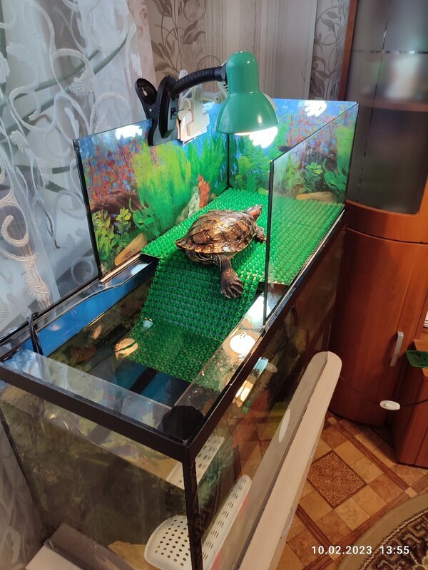 Пример выносного берега с форума сайта Черепахи.ру