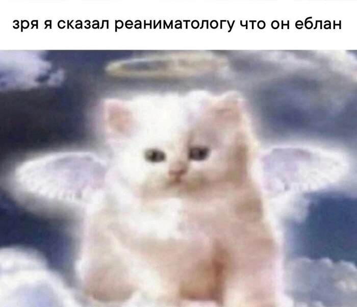 ��������???