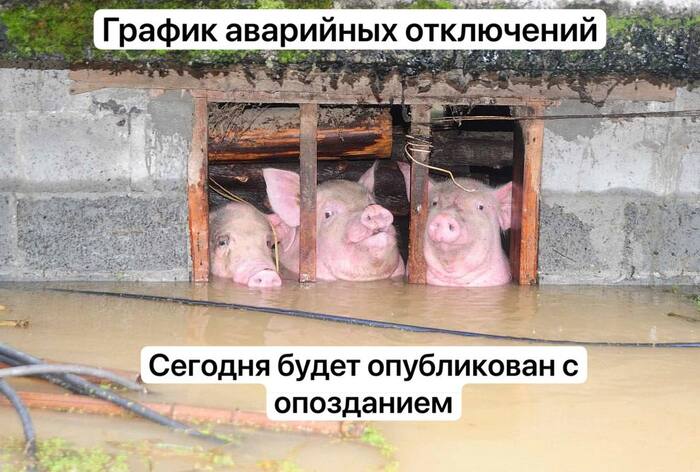 � ��������� ������� �������� �����������