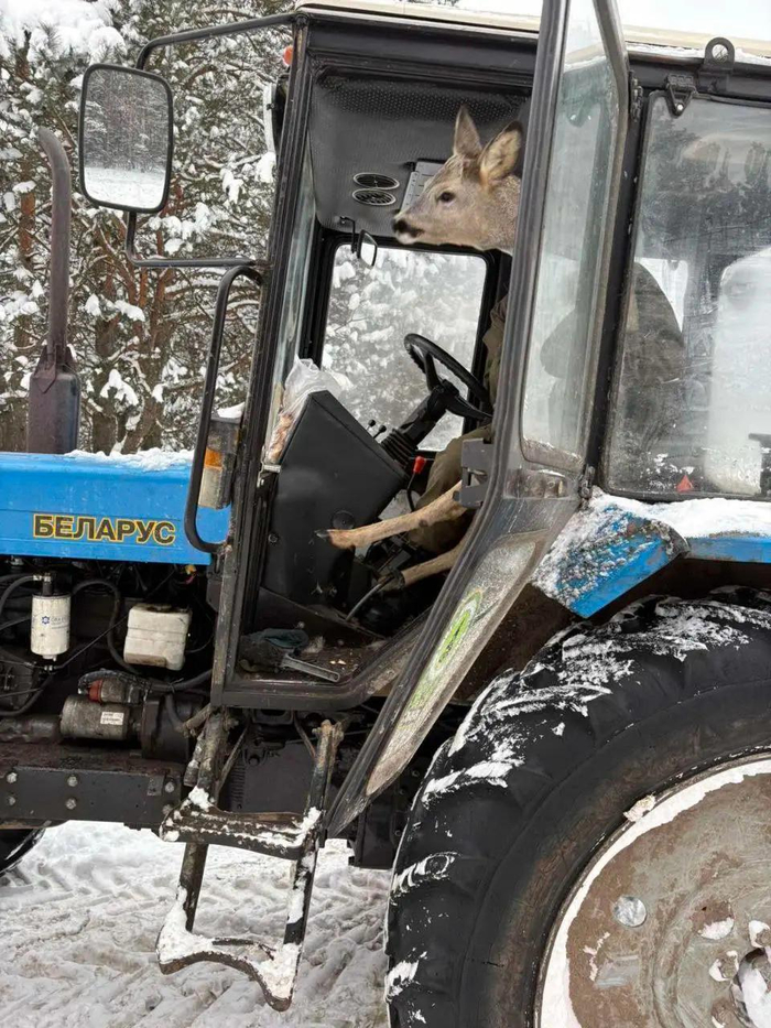 ��� ����������