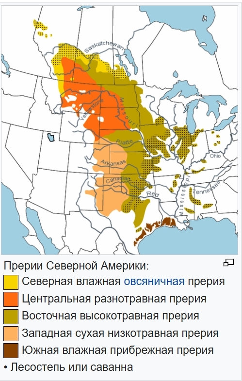 ��������, � ������� ����� ����� ��������� - ���������� ����, �� �������� ��������� ���� �����������