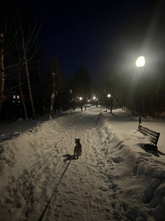 ����, �����, ������, �����...