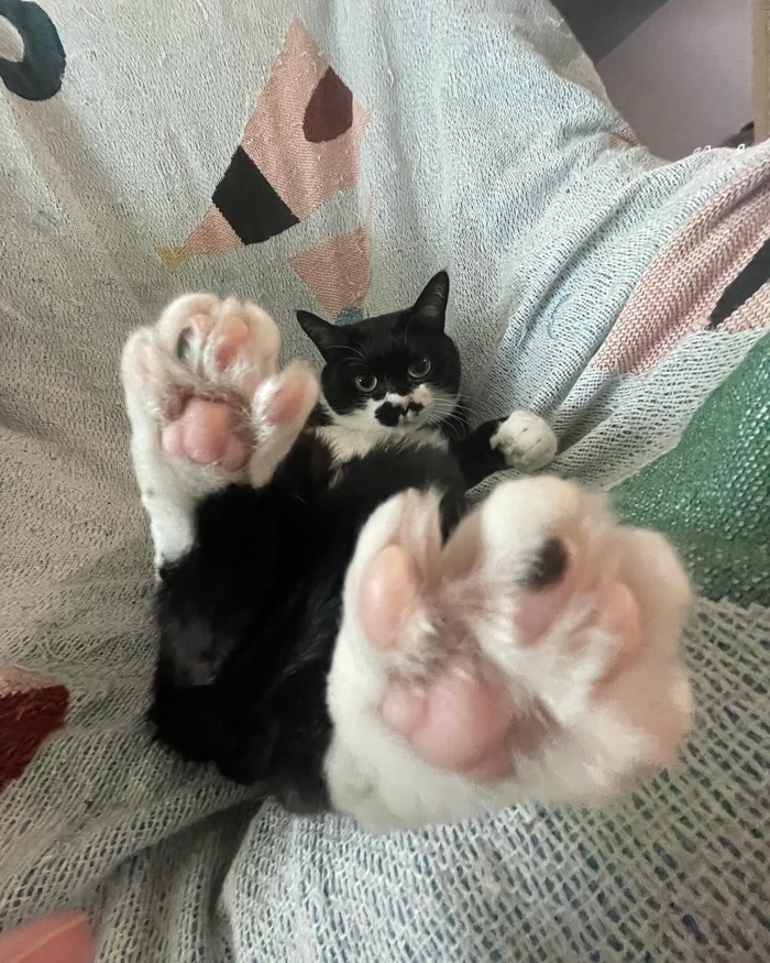 ��-��, �������, ���� ��������� ���������