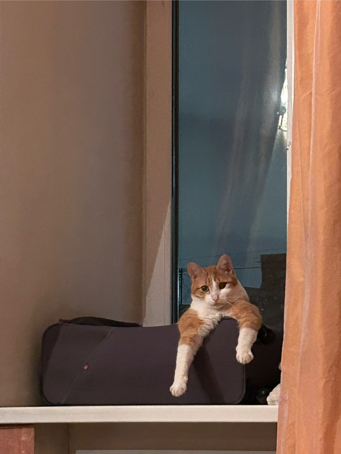 #�������