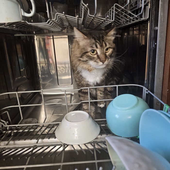 Контроль качества