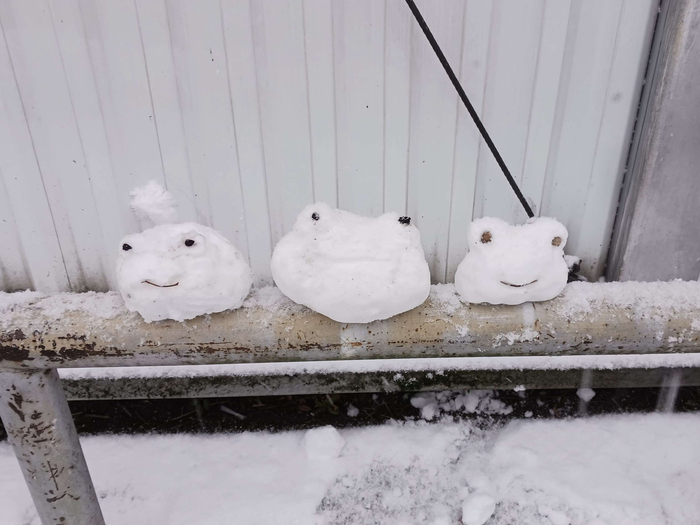 �� ������ �����...��� ������!