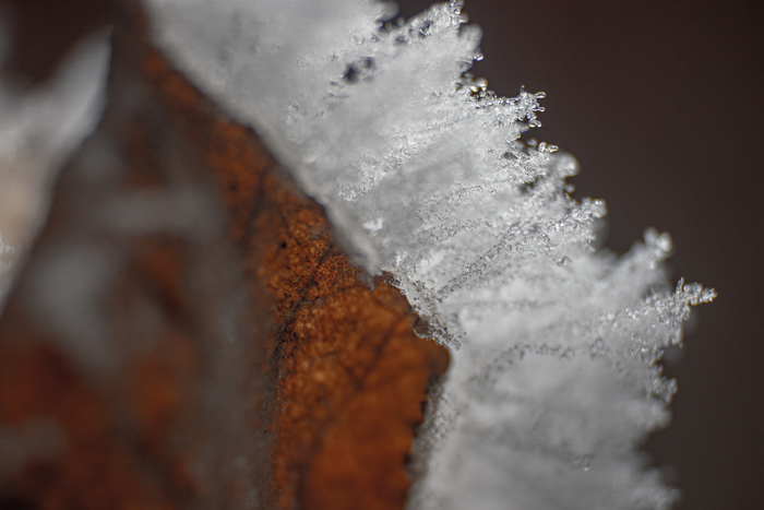 ��������� �����