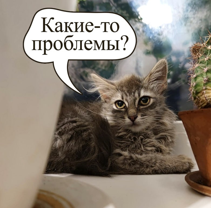 ���� ����, ����� ������ � �������� 9� �� 45 �����