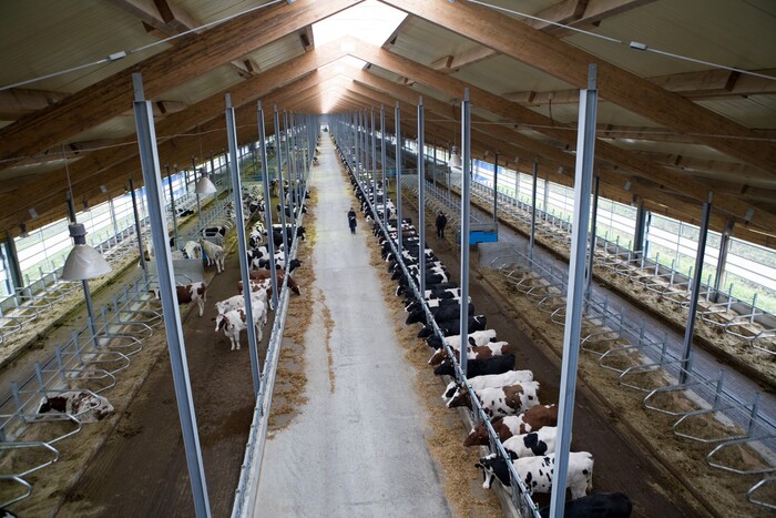 ������, ��� ����� ����������