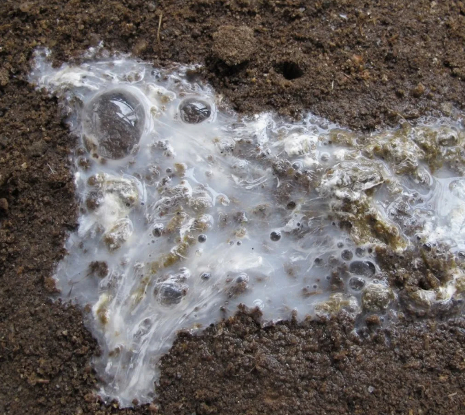 ����� ����� �����������, ����� ���������� �������������