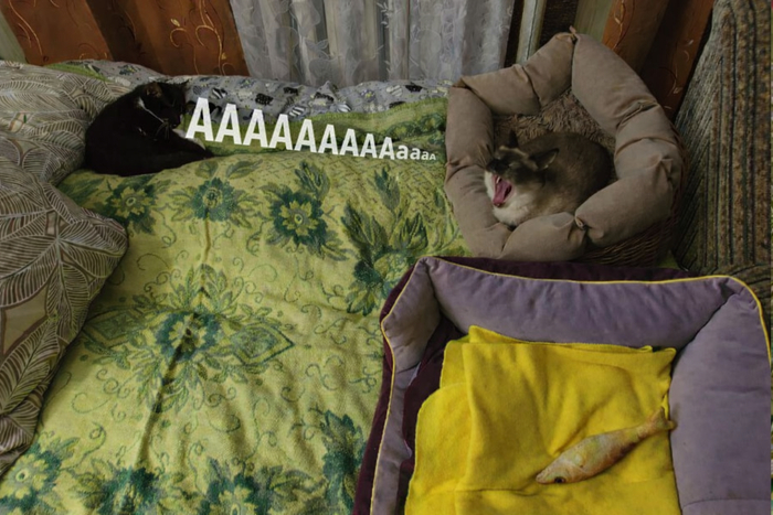 Опять лечиться?!