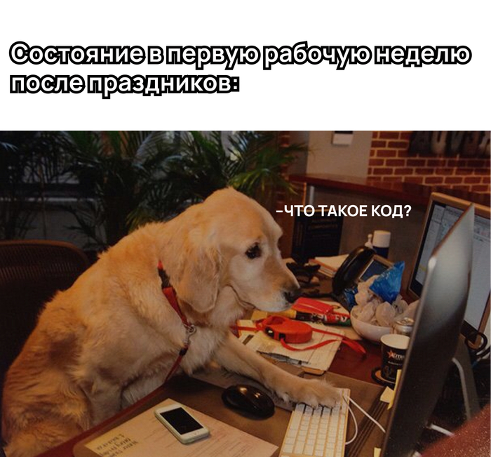 ����� ���� ��� ��������