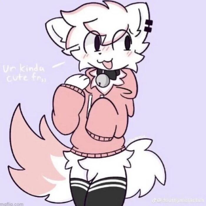 ����� �� ���� ��������