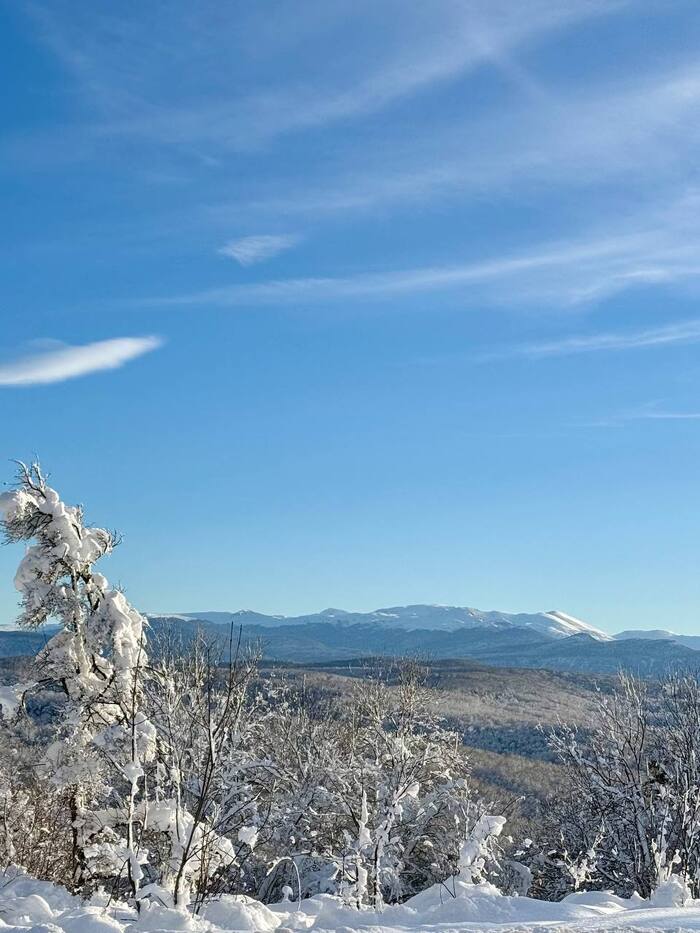 ����� ����-����