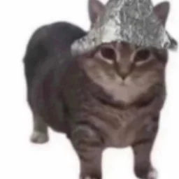 Ydici