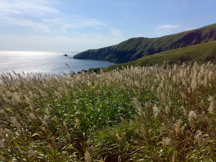 �. �������, ��� ���� ��� � �������������