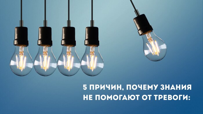 5 ������, ������ ������ �� �������� �� �������: