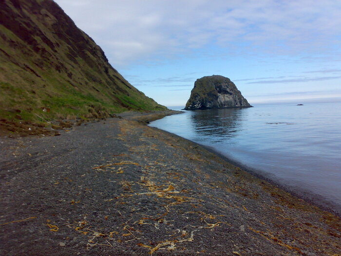 �������� ����� ��������