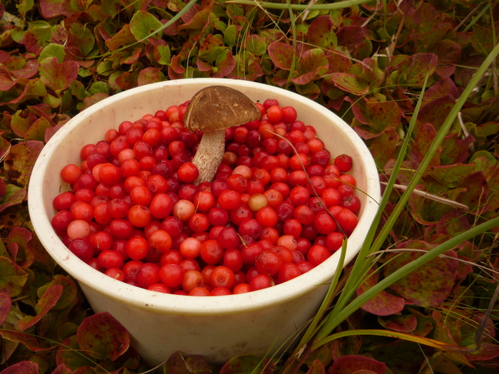 ��������, ��� �� ��������