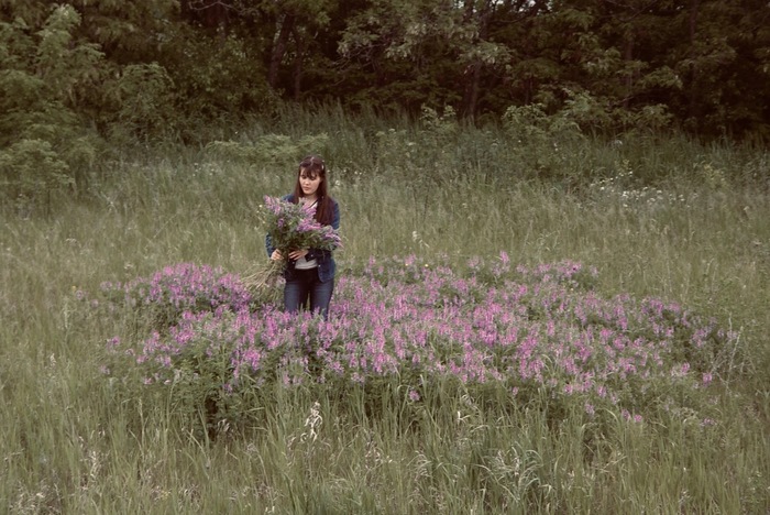 Едешь по трассе летом, собираешь цветы
