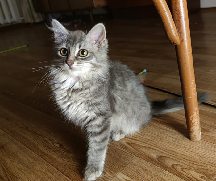 ��� ��� ����������!