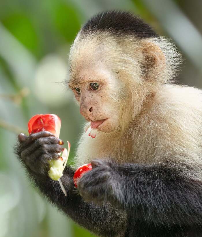 ��������� �������