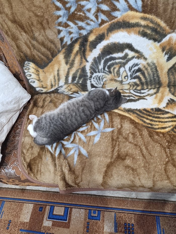 ���� �� �����