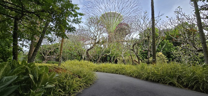 ����� ��� ������� ���������� ���������� - �������� �� Gardens by the Bay
