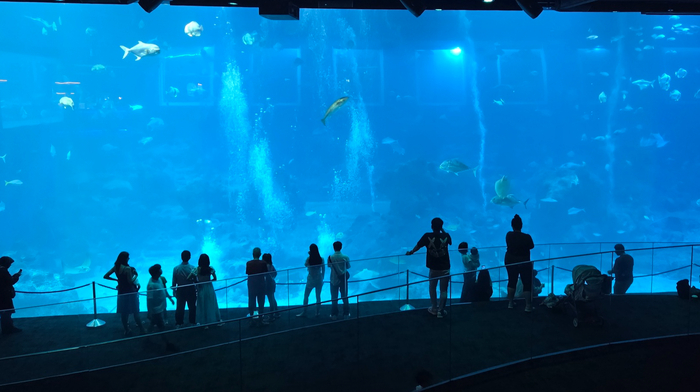 ����� ��, ���� ��� �������� - ����� ��������� ����