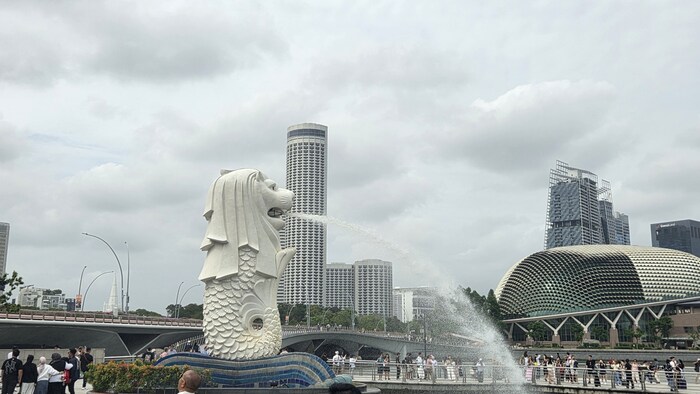 ��� ������� - ������ ���������