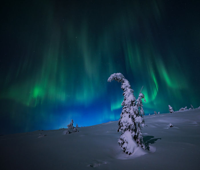 ����: ����� �������<a href="https://pikabu.ru/story/polyarnoe_siyanie_na_beregu_belogo_morya_13596851?u=https%3A%2F%2Frtraveler.ru%2Fphoto%2F1480736%2F%3Feditorial_photos%3D1&t=%D0%BE%D1%82%D1%81%D1%8E%D0%B4%D0%B0&h=e866f7f514bac4de4b3b48b134a6d18ec26d040b" title="https://rtraveler.ru/photo/1480736/?editorial_photos=1" target="_blank" rel="nofollow noopener"> ������</a>