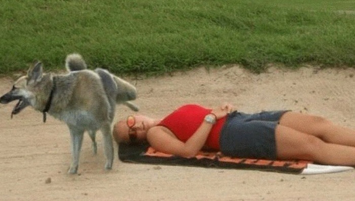 ��� ��� ������ � ������� ))