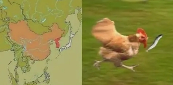 ������������� �����������