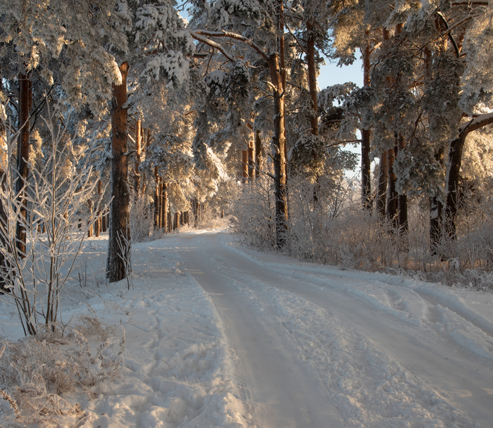 ��������, ��������� ���� � �������� �����