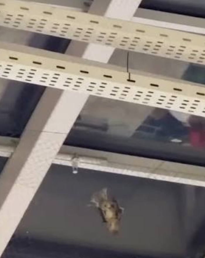 ����� ��� ���� � ��� �������� ����� ��������� ��� ������ �� ��