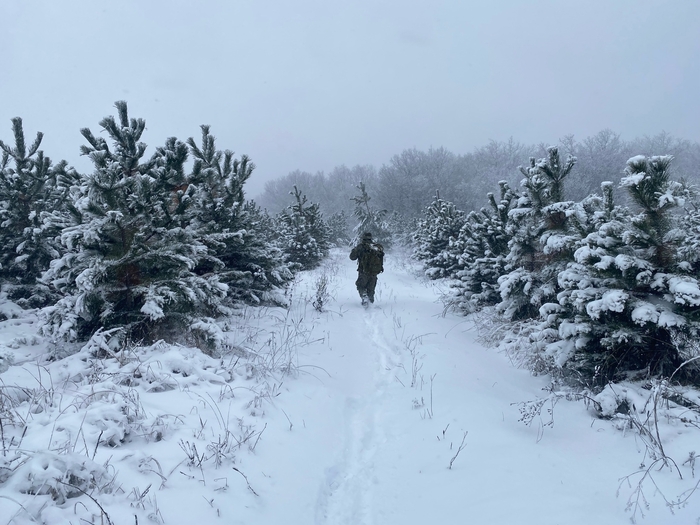 ����. ������� ���������� ��� - ���� ����