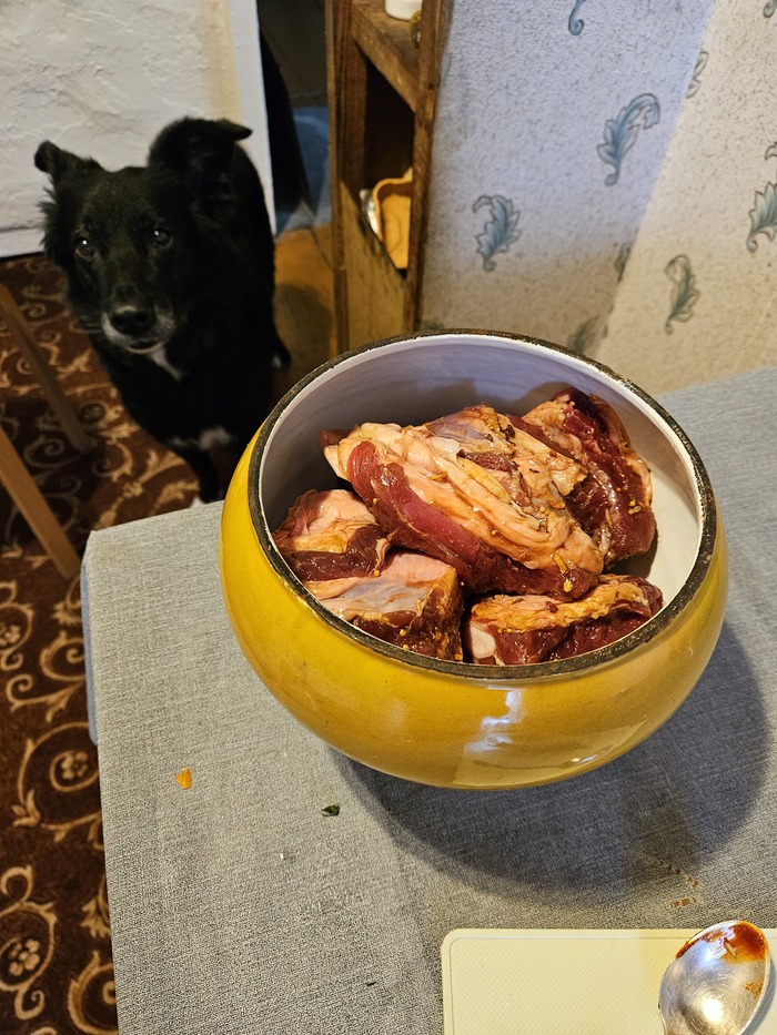 ��������� �����������, ��� ��� �� ���� ����������������