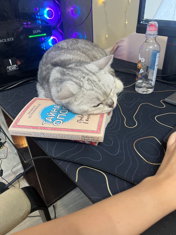 ����� ������� ��������, ����������