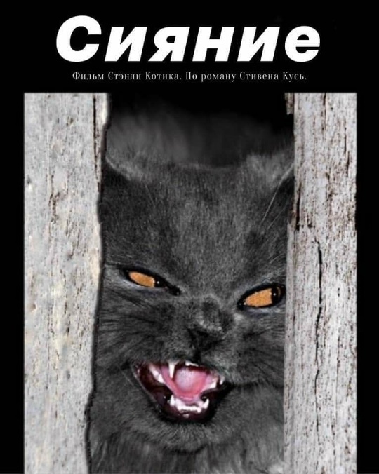 � ��� � ��������� ������ ��������!