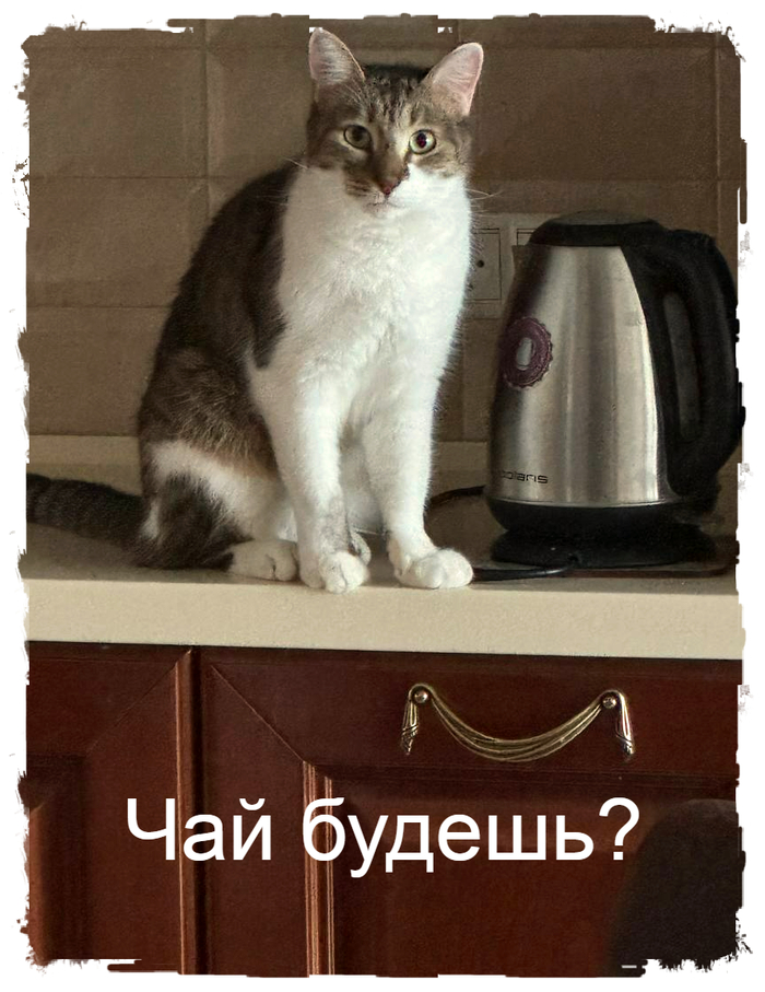 ����������, ������, ����������