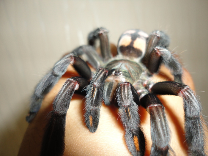 ������� ��������� �������.