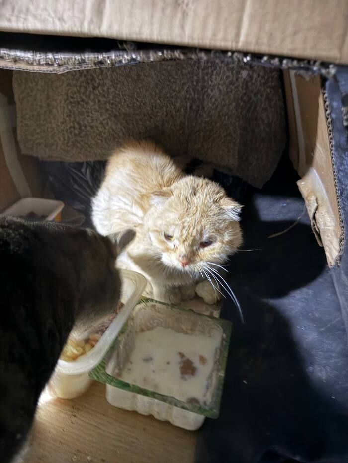 ������ � ������ ���������� ����?