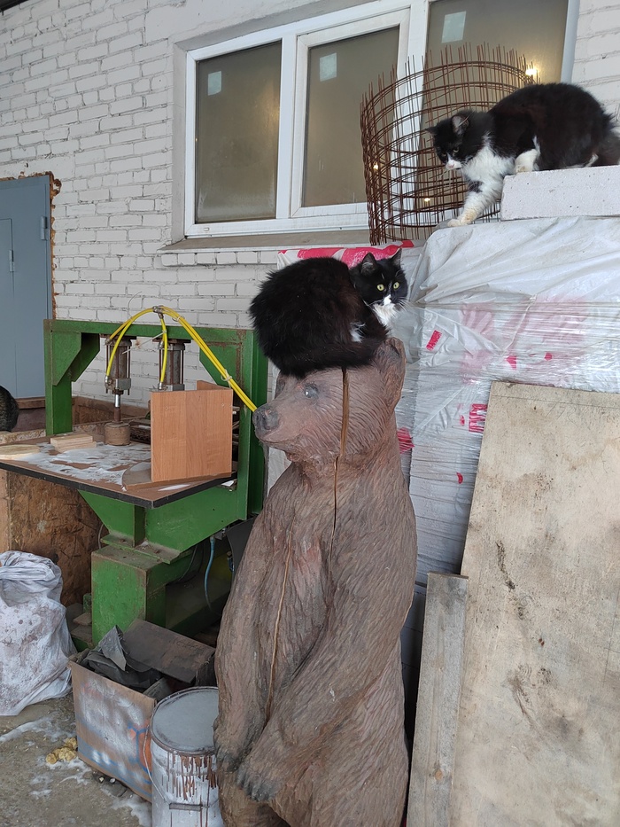 ����� ������ ������, ����� � �����