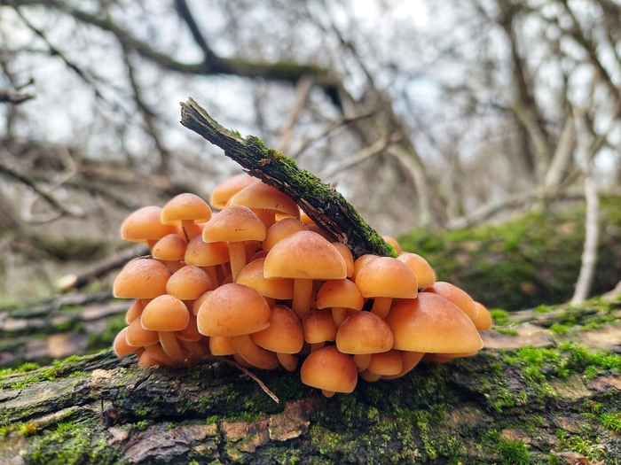 ���� �. ��������.