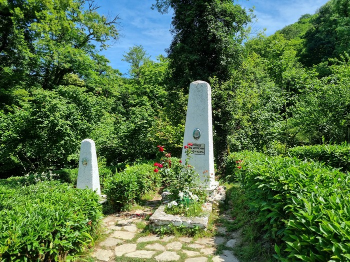 ������� �� ������ �.�. ������� ����� ������ ������, 2024 ���. ���� �������� �.�.