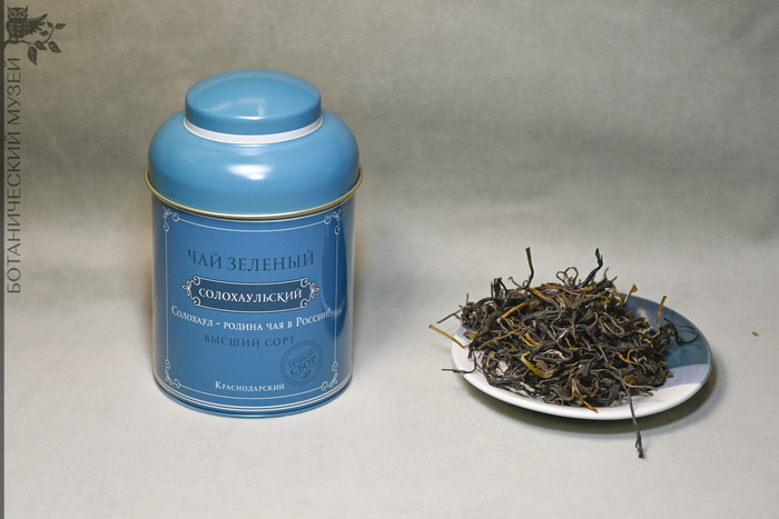 ��� ������� ��������������, ������ ����, 2024 ���. ��������� ������������� �������� ������������� ����� ��� ���.